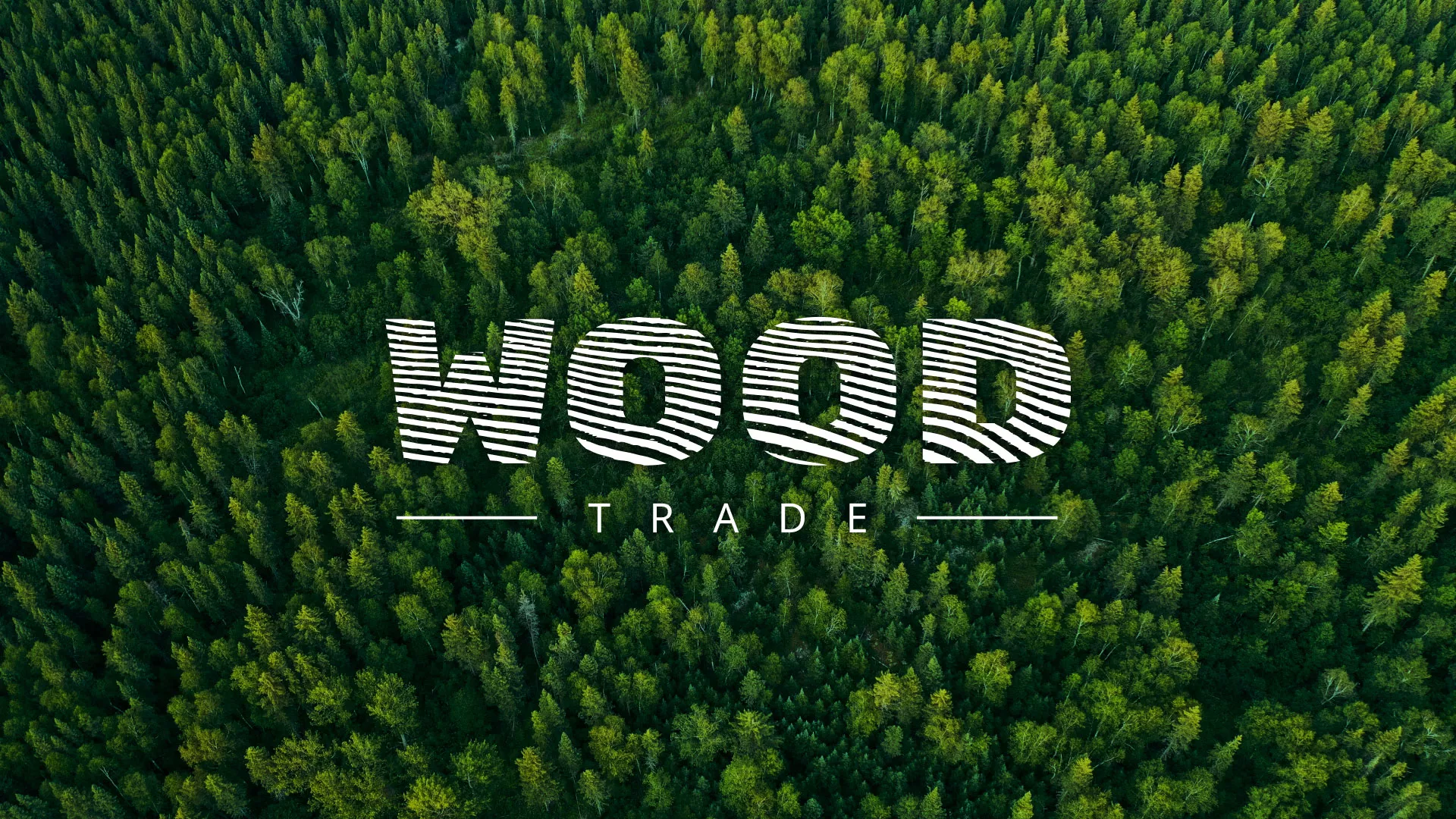 Разработка интернет-магазина компании «Wood Trade» в Ворсме